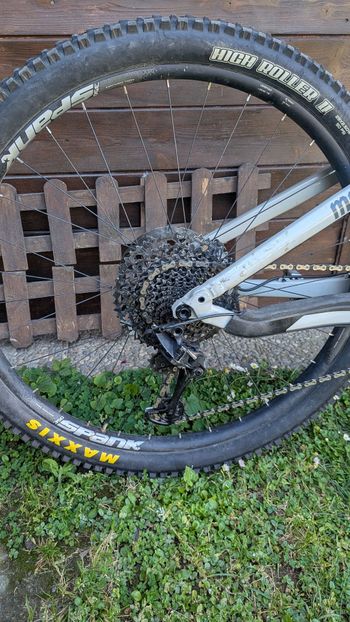 Used Commencal META TR 29 RACE 2020 2020 Mountainbike — image 3 of 6