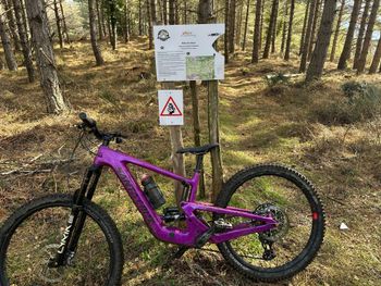 Used Santa Cruz Heckler SRAM X01 Eagle AXS 2024 Mountainbike, Violett — image 2 of 6