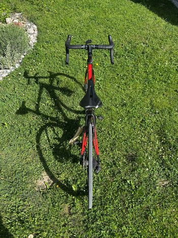 Used Wilier CENTO10 SL SHIMANO ULTEGRA DI2 R8070 2021 2021 Road & Gravel, Black — image 3 of 5