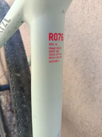 Used Canyon Grizl 6 2022 2022 Road & Gravel, Green — image 2 of 4
