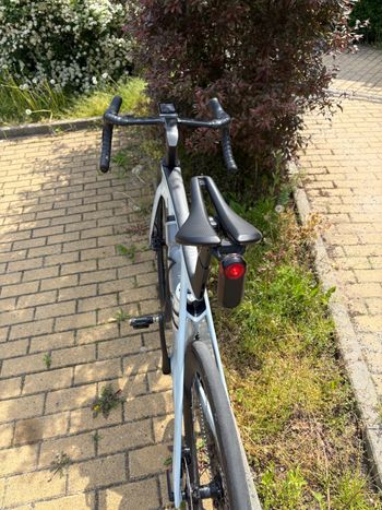 Used Trek Madone SL 7 Gen 7 2024 2024 Road & Gravel