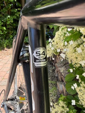Used Cannondale Shimano Ultegra 2010 Road & Gravel, Black — image 2 of 11