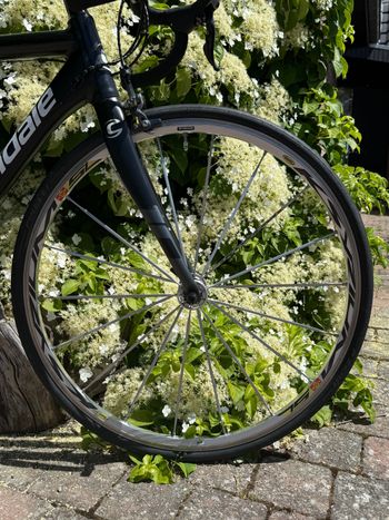 Used Cannondale Shimano Ultegra 2010 Road & Gravel, Black — image 9 of 11