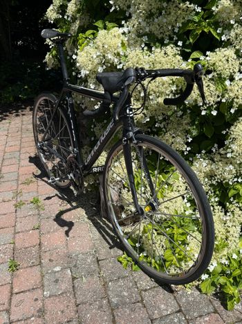 Used Cannondale Shimano Ultegra 2010 Road & Gravel, Black — image 7 of 11
