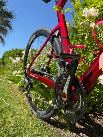 Used BH BH RS1 4.0 Rouge Bordeaux 2025 Road & Gravel, Rosso — image 3 of 6