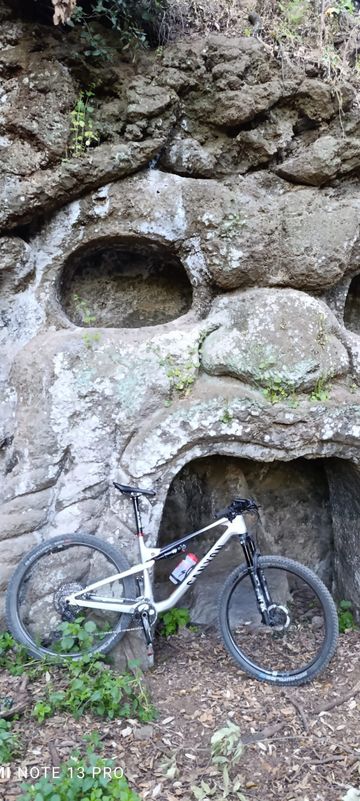 Brugt Canyon Lux Trail CF 8 2025 2025 Mountainbike — billede 2 af 4