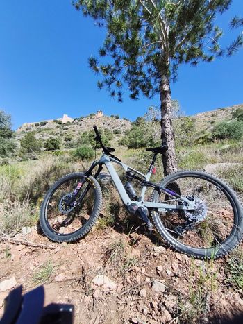 Used CUBE CUBE Custom SRAM GX 2024 Mountainbike — image 2 of 5