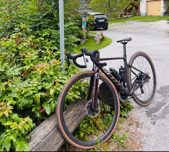 Used Scott Addict 10 2024 2024 Road & Gravel