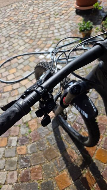 Used Canyon Strive CF 7 2021 2021 Mountainbike, Black, 29 — image 4 of 18