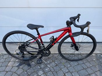 Used Trek Domane AL 2 Gen 4 2024 2024 Road & Gravel