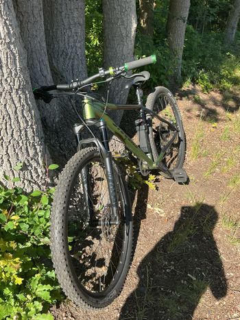 Used Stevens Sentiero 2026 2026 Mountainbike, Grün, 27.5 — image 10 of 10