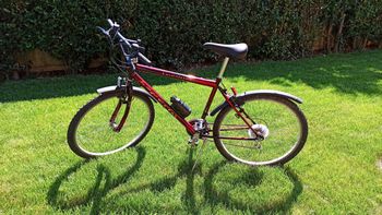 Used NO NAME Esperia Tornado 1999 MTB