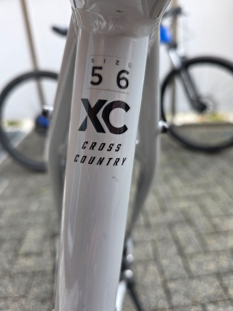 Used BULLS Copperhead 2 29 2023 2023 Mountainbike, Light Gray — image 3 of 19
