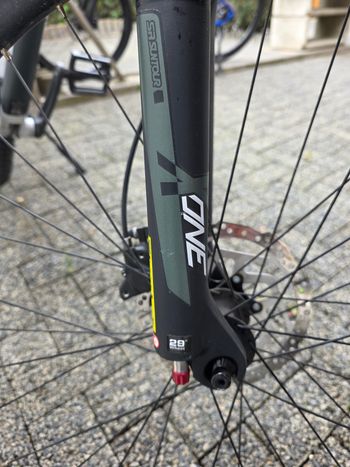 Used BULLS Copperhead 2 29 2023 2023 Mountainbike, Hellgrau — image 16 of 19