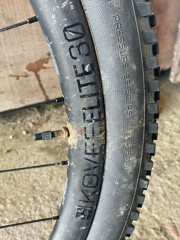 Tweedehands Trek Procaliber 9.8 2021 2021 Mountainbike — afbeelding 4 van 8