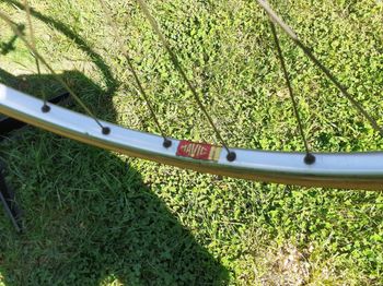 Used Rebellato Bicicletta Da Corsa Vintage (1985 Circa), Telaio Artigianale Rebellato In Tubi Acciaio Columbus SLX 1985 Road & Gravel, Blu — image 11 of 26