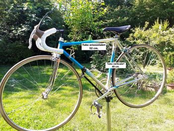 Used Rebellato Bicicletta Da Corsa Vintage (1985 Circa), Telaio Artigianale Rebellato In Tubi Acciaio Columbus SLX 1985 Road & Gravel, Blu — image 2 of 26