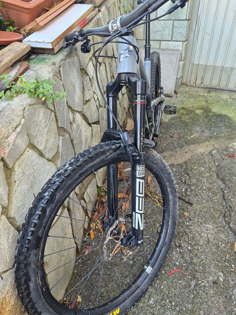 Used Propain SPINDRIFT 4 CF 29 Performance 2024 2024 Mountainbike, Grigio chiaro — image 2 of 5