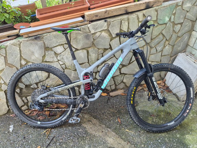 Used Propain SPINDRIFT 4 CF 29 Performance 2024 2024 Mountainbike, Grigio chiaro — image 5 of 5