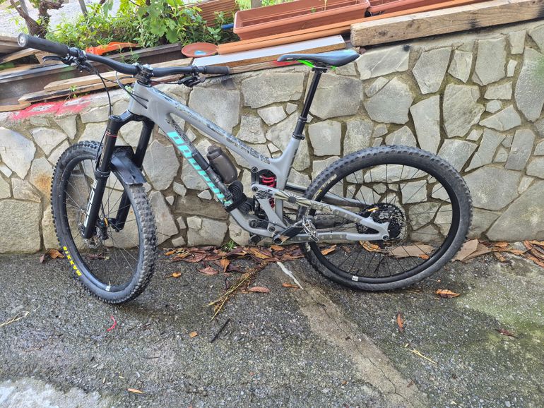 Used Propain SPINDRIFT 4 CF 29 Performance 2024 2024 Mountainbike, Grigio chiaro — image 1 of 5