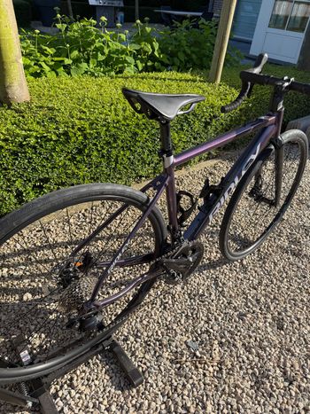 Used Ridley Grifn A - Shimano 105 - 2x12 2024 2024 Road & Gravel, Morado — image 6 of 6