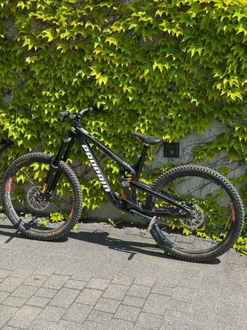 Used Propain SPINDRIFT 4 CF 27.5 Highend 2024 2024 Mountainbike, Schwarz, 27.5 — image 6 of 13