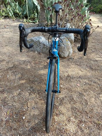 Used Canyon Aeroad CF SL 7.0 2019 2019 Road & Gravel — image 3 of 6
