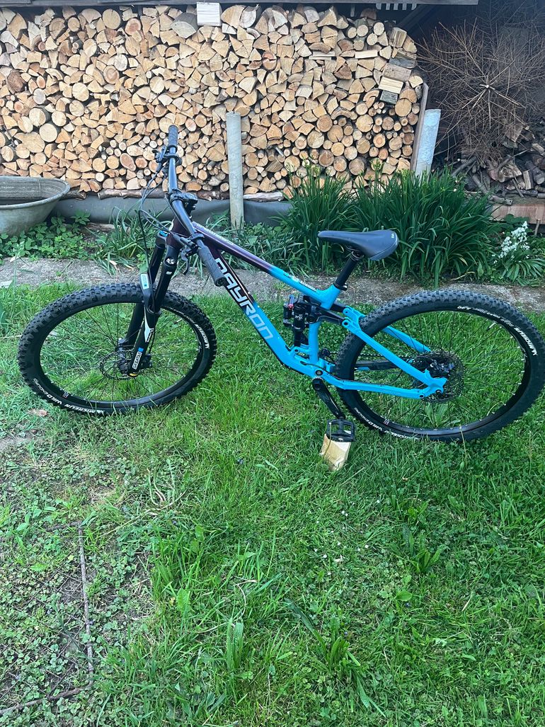 Used Qayron Qayron Carma MkII EN 1F 2023 2023 Mountainbike — image 1 of 12