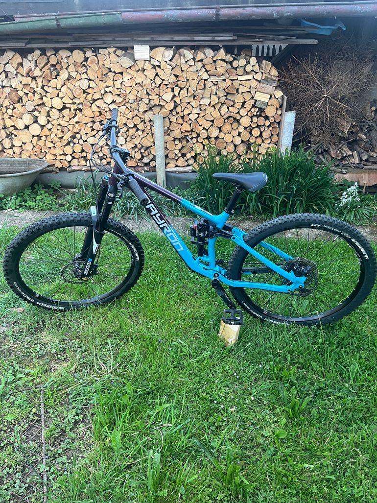 Used Qayron Qayron Carma MkII EN 1F 2023 2023 Mountainbike — image 7 of 12