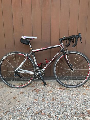 Used Olympia Olympia Custom Campagnolo Veloce 2022 Racefiets & gravel