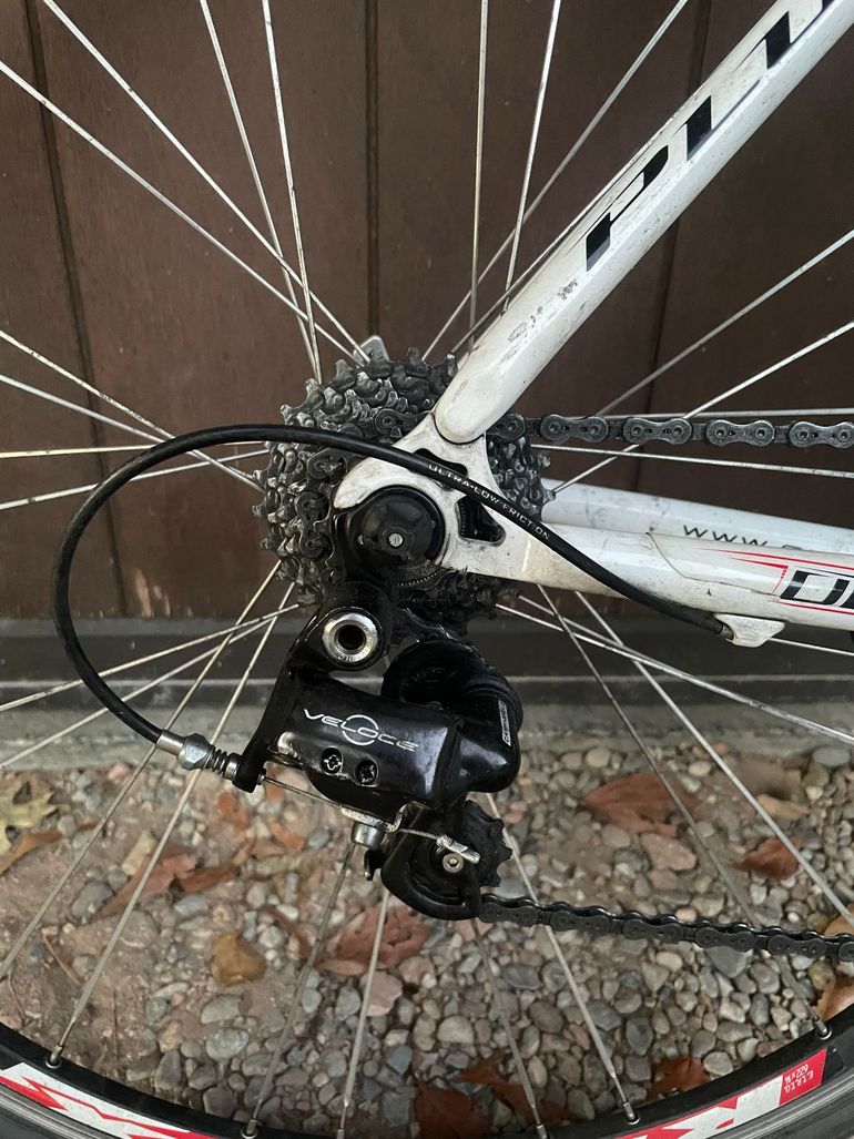 Used Olympia Olympia Custom Campagnolo Veloce 2022 Road & Gravel — image 3 of 10