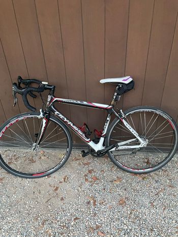 Used Olympia Olympia Custom Campagnolo Veloce 2022 Road & Gravel — image 2 of 10