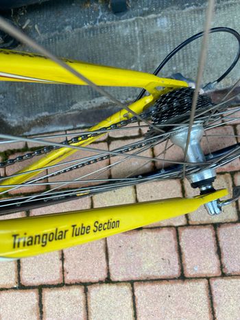 Used Marin Marin Custom Campagnolo Centaur 2002 Road & Gravel, Schwarz — image 4 of 6