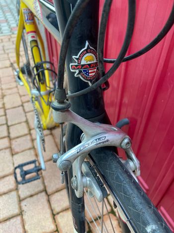 Used Marin Marin Custom Campagnolo Centaur 2002 Road & Gravel, Schwarz — image 5 of 6