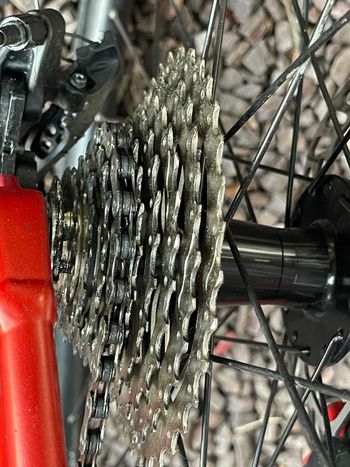 Used Giant Revolt 1 2024 2024 Road & Gravel, Red — image 29 of 32