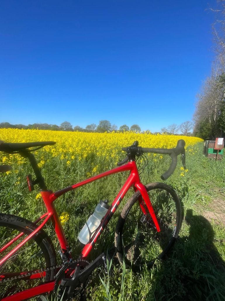 Used Giant Revolt 1 2024 2024 Road & Gravel, Rot — image 11 of 14