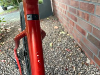 Used Giant Revolt 1 2024 2024 Road & Gravel, Red — image 23 of 32