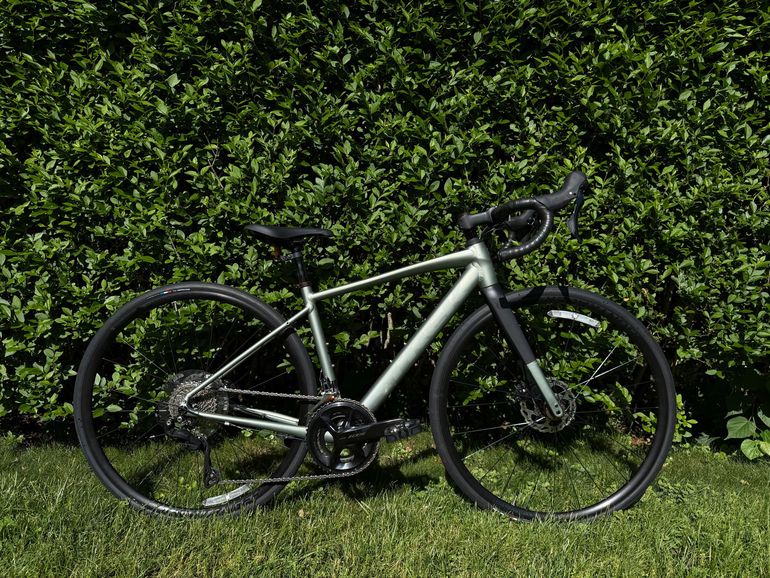 Used Trek Domane AL 5 Gen 4 2025 2025 Road & Gravel, Green — image 1 of 11