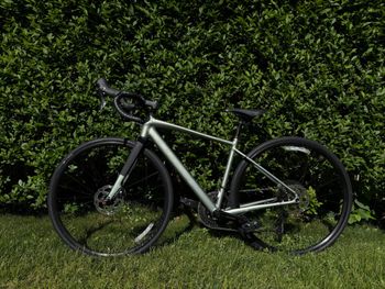 Used Trek Domane AL 5 Gen 4 2025 2025 Road & Gravel, Green — image 2 of 11