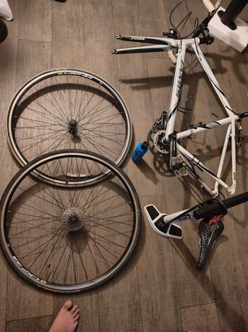 Used Jamis Model Unknown 2016 Road & Gravel