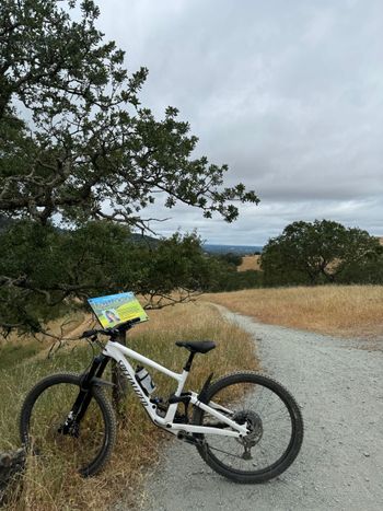 Used Specialized Enduro Expert 2021 2021 MTB