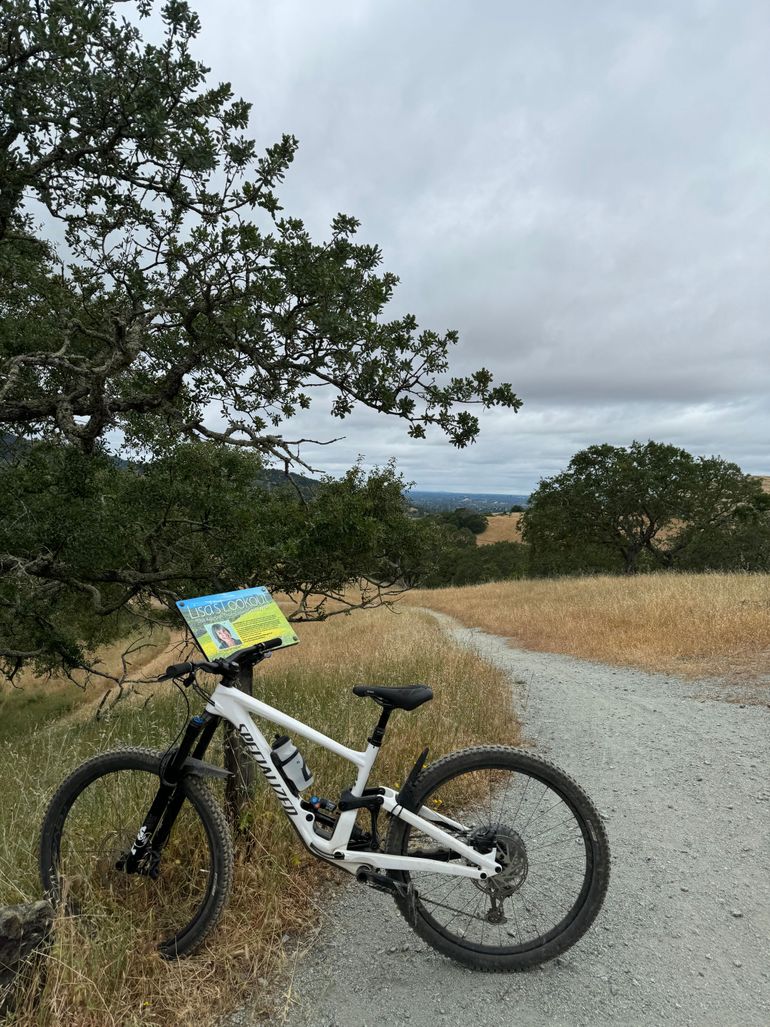 Used Specialized Enduro Expert 2021 2021 Mountainbike, White, 29 — image 1 of 4