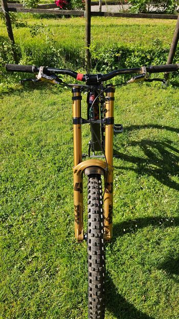Used Trek Session AL Frameset 2024 Frameset 2024 Mountainbike — image 5 of 6