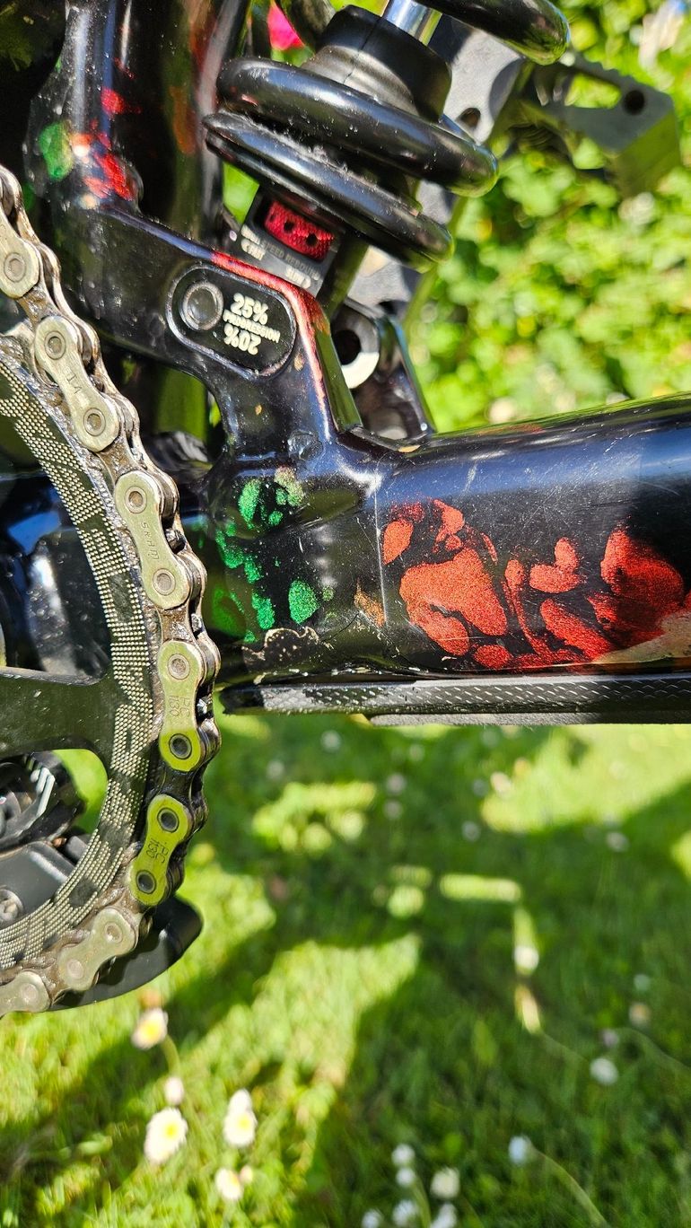 Used Trek Session AL Frameset 2024 Frameset 2024 Mountainbike — image 4 of 6