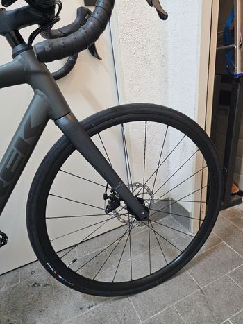 Used Trek Domane AL 2 Gen 4 2025 2025 Road & Gravel, Hellgrau — image 5 of 5