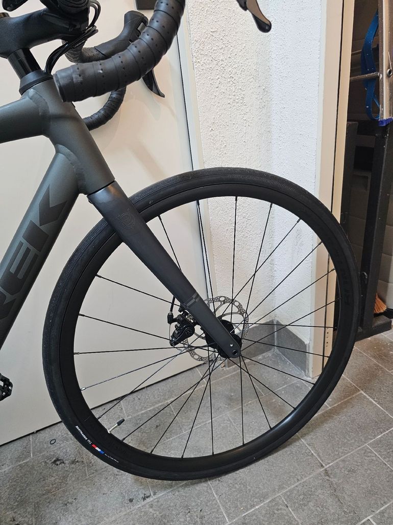 Used Trek Domane AL 2 Gen 4 2025 2025 Road & Gravel, Hellgrau — image 5 of 5