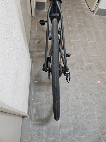 Used Trek Domane AL 2 Gen 4 2025 2025 Road & Gravel, Hellgrau — image 4 of 5