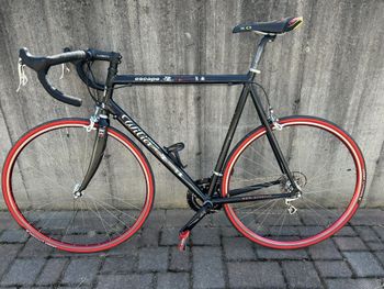 Used Wilier ESCAPE Campagnolo Daytona 10v 2000 2000 Carretera y gravel