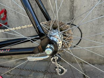Used Wilier ESCAPE Campagnolo Daytona 10v 2000 2000 Road & Gravel, Negro — image 8 of 9