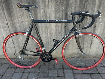 Used Wilier ESCAPE Campagnolo Daytona 10v 2000 2000 Road & Gravel, Negro — image 2 of 9